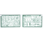 ID Card Leaves of Northeast Trees