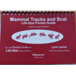 mammal_tracks_and_scat_2