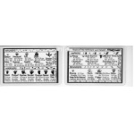 ID card  Mammal Tracks of the Northeast