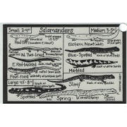 id_card_amphibians_back_1392490078