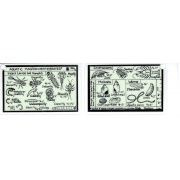 ID card  Aquatic Macroinvertebrates, Crustaceans, Mollusks, and Worms